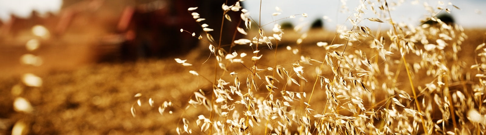 Anvelope agricole